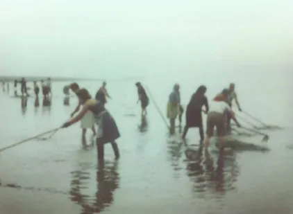 Condicións e Desafíos